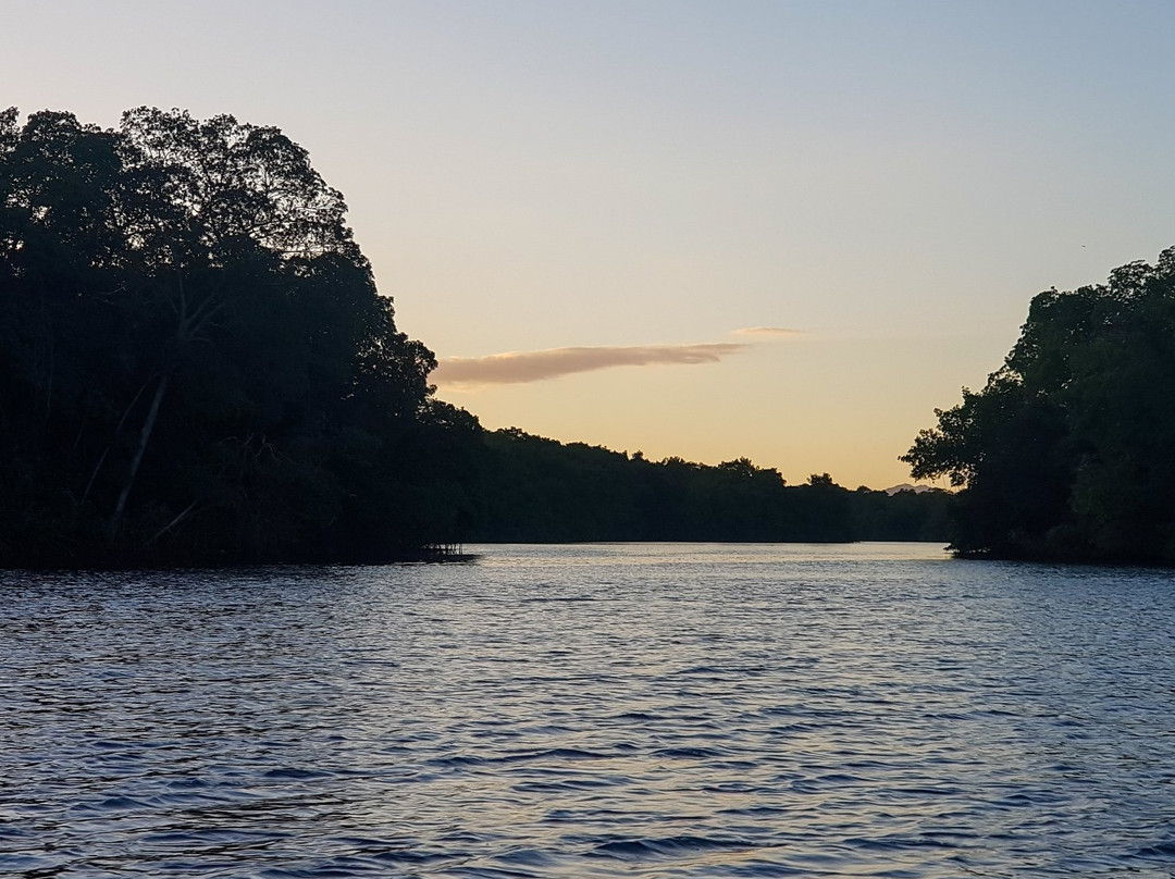 Caroni Bird Sanctuary-Caroni必去景点