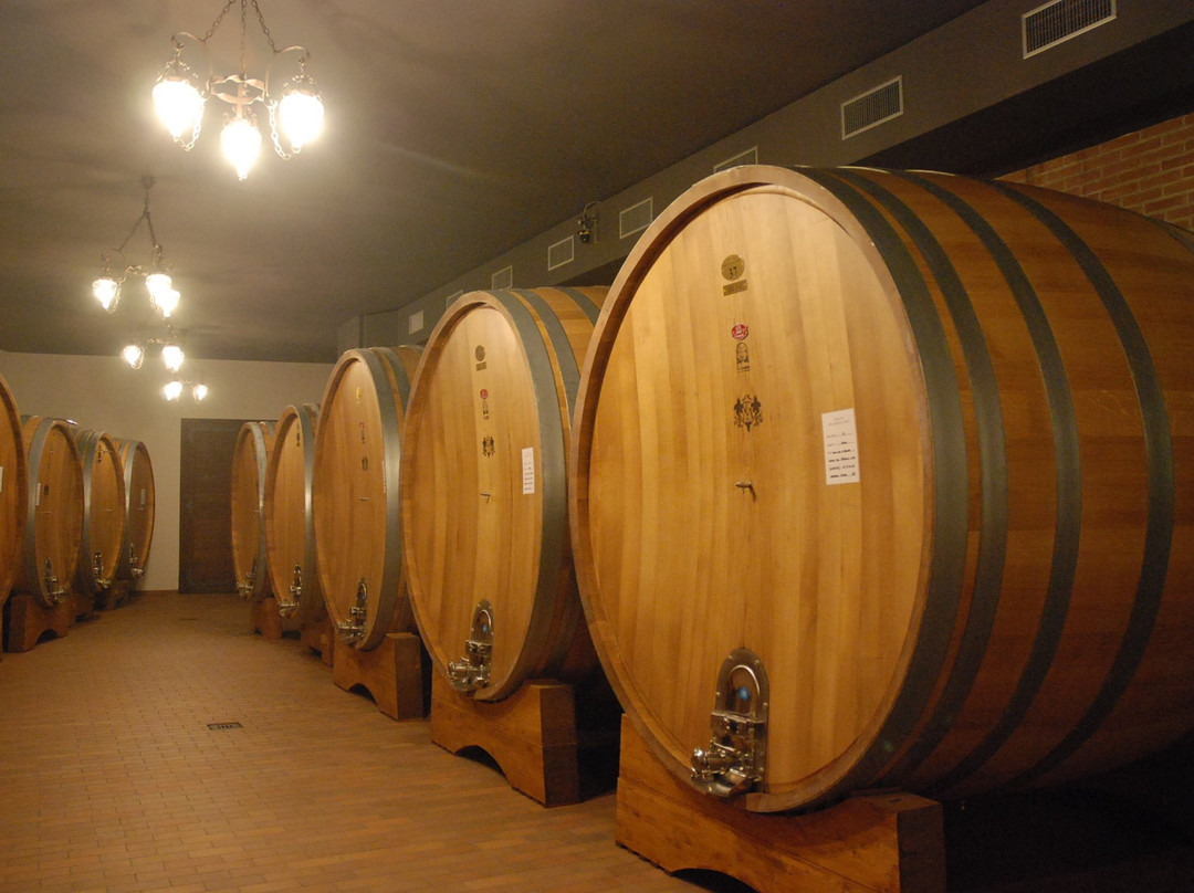 Massolino Winery景点图片