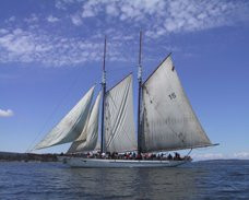 The Swan Hotel主图