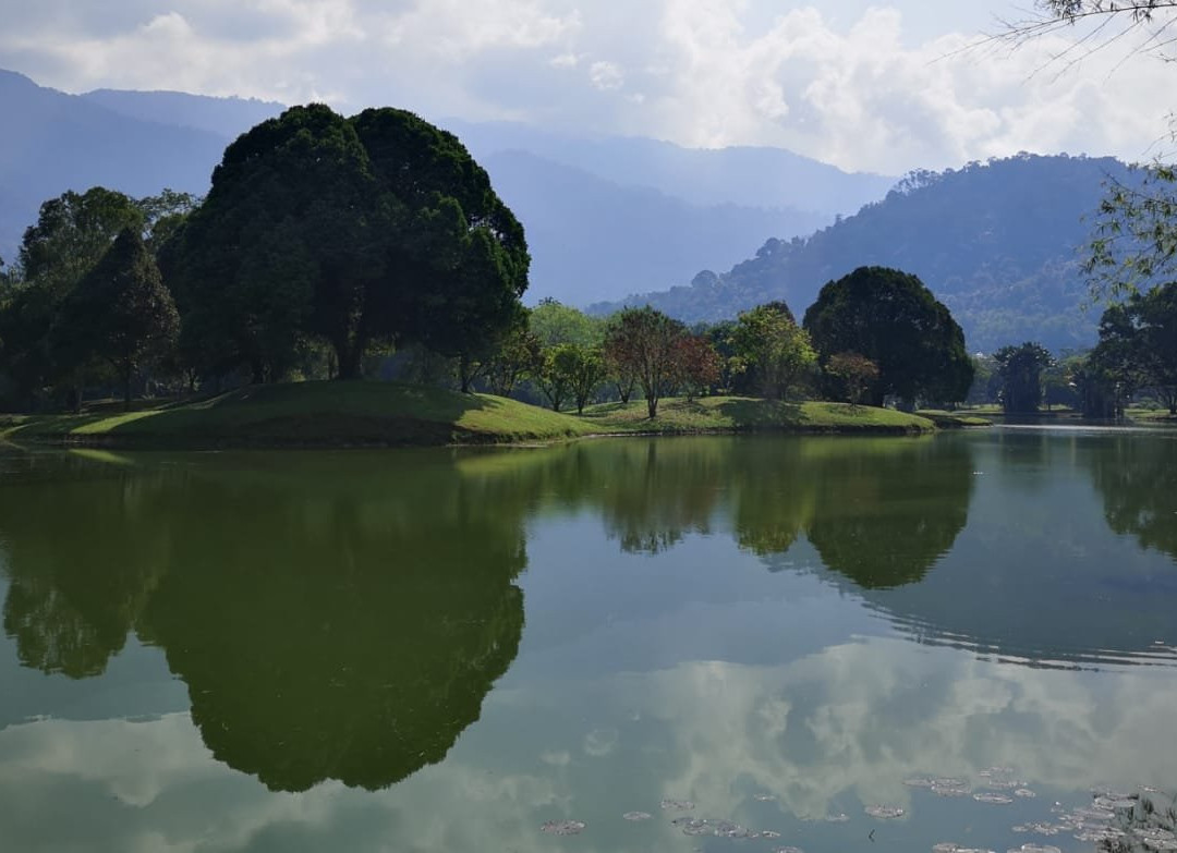 Taman Tasik Taiping景点图片