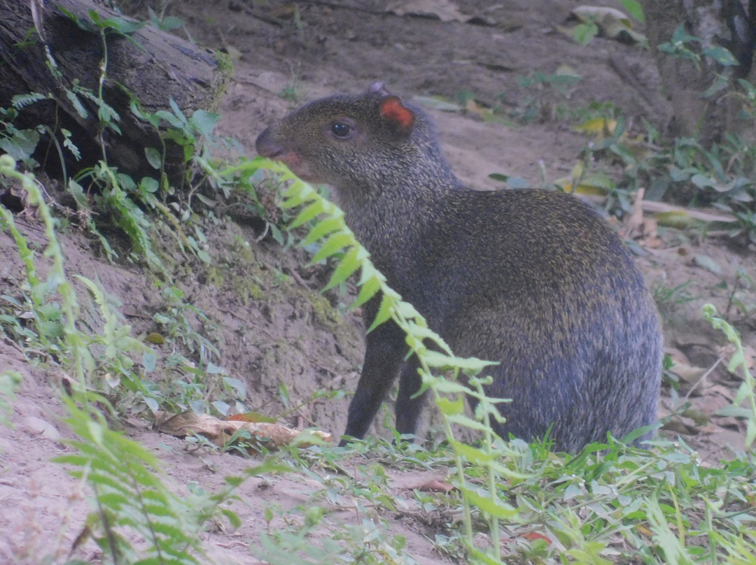 Vida Park-亚美尼亚必去景点