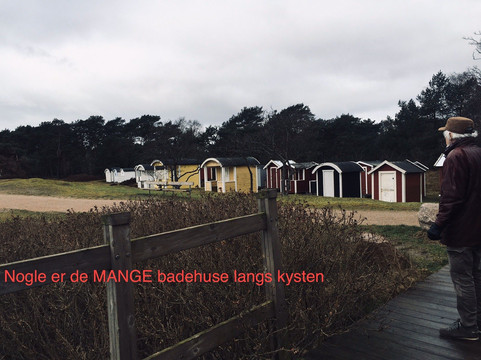 Ljunghusen旅游攻略图片