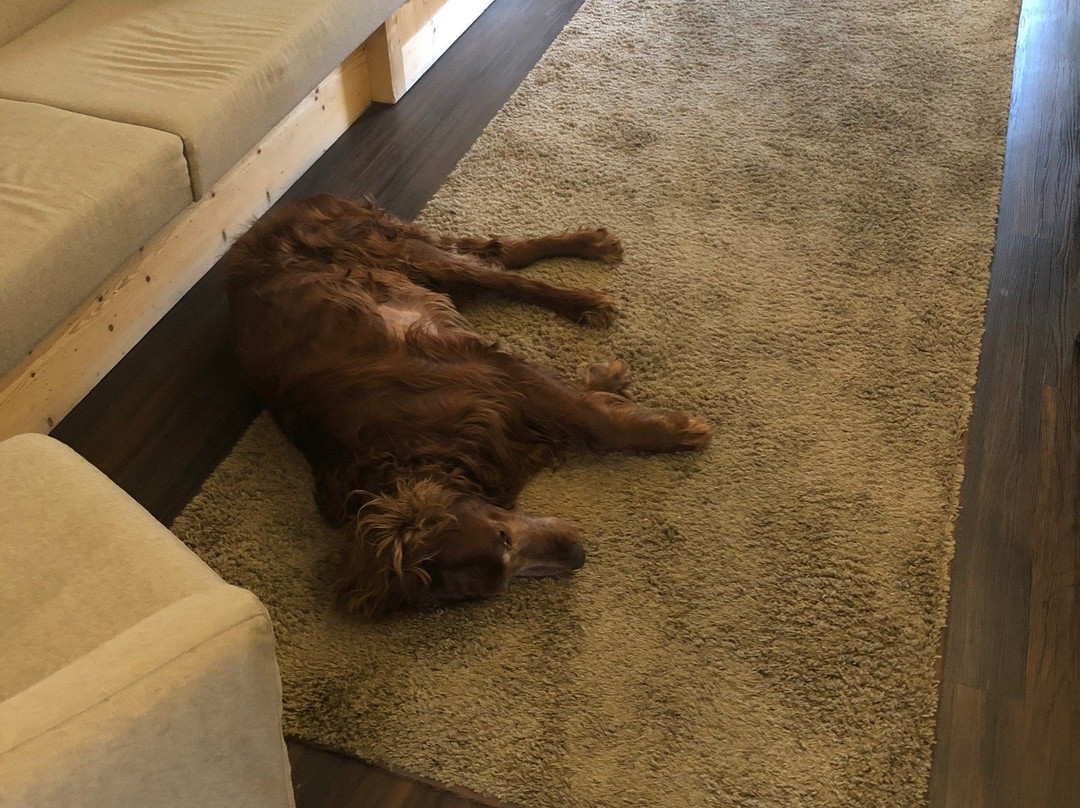 理意其尼酒店主图