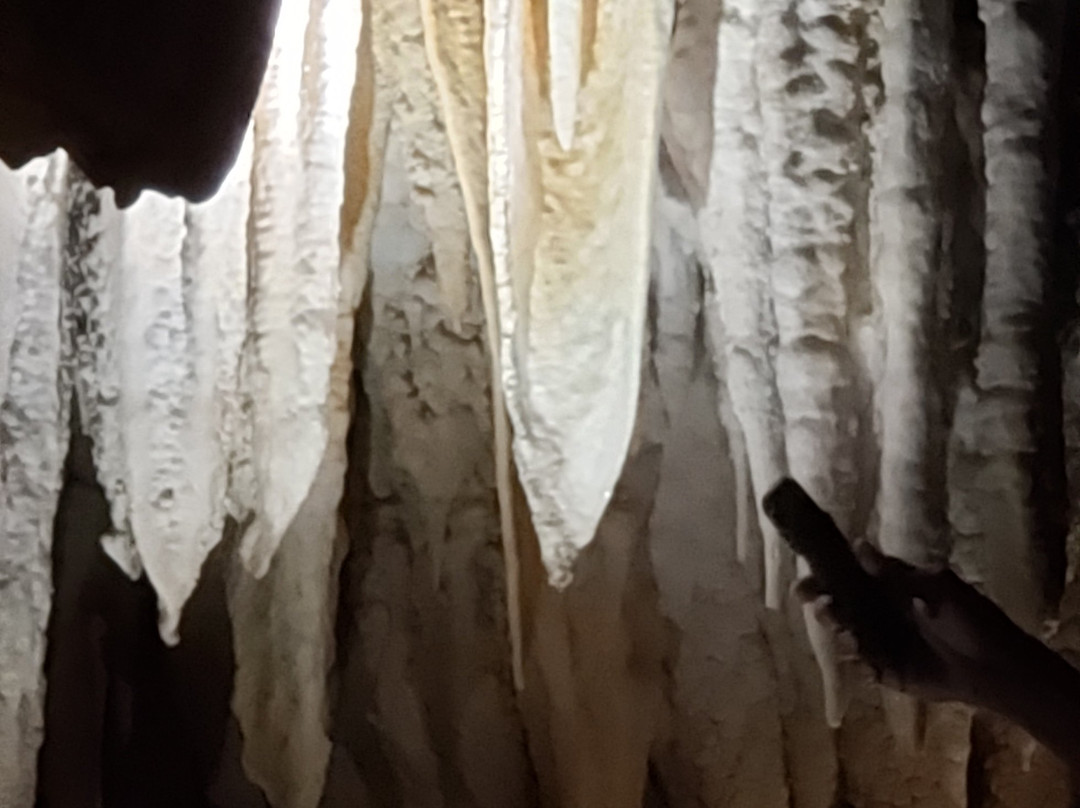 Cayman Crystal Caves-大开曼岛必去景点