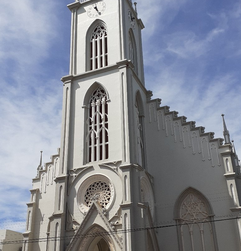 Igreja Matriz São Luiz Gonzaga景点图片
