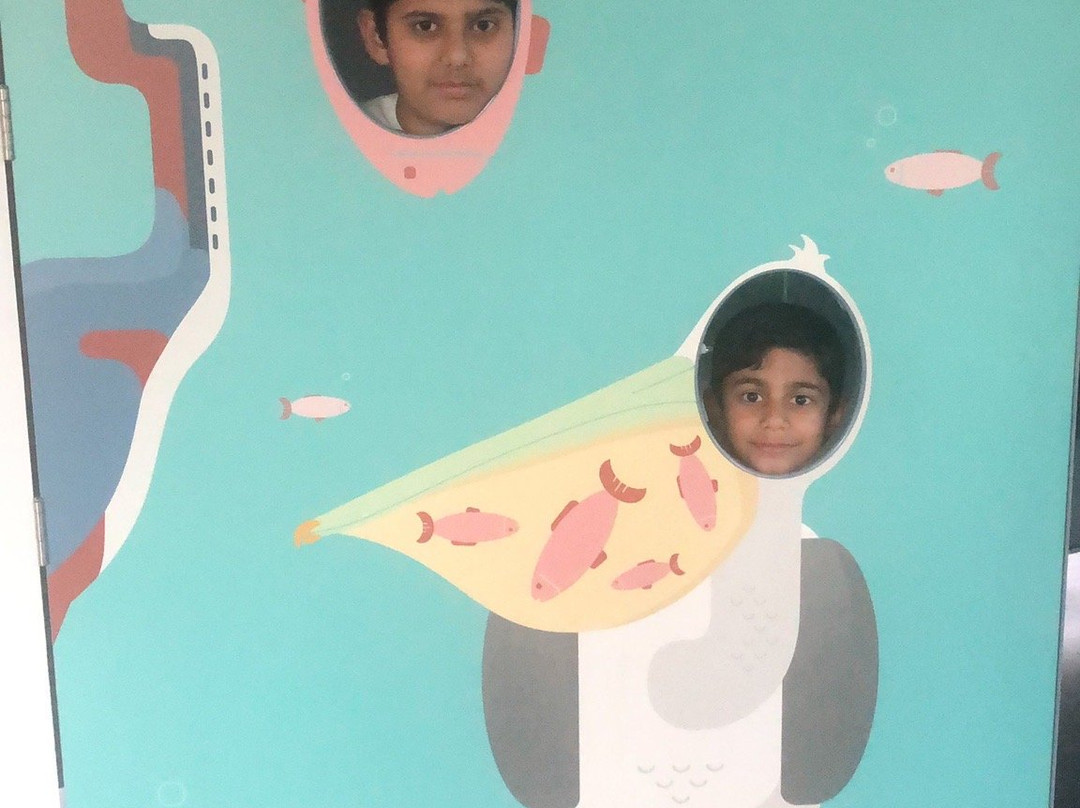 Wasit Wetland Centre-沙迦必去景点