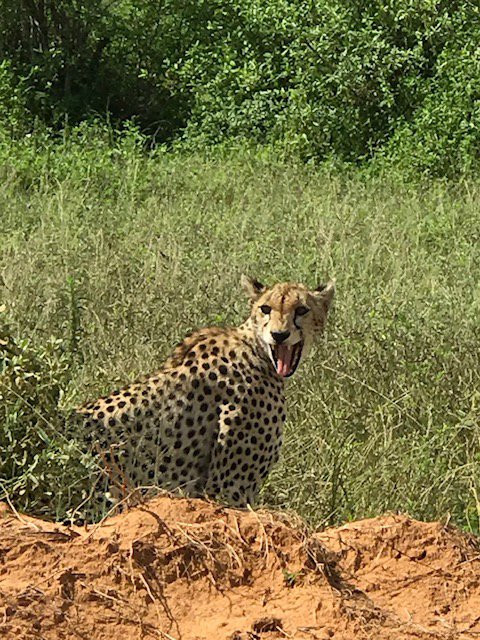 PD Tours and Safaris-蒙巴萨必去景点