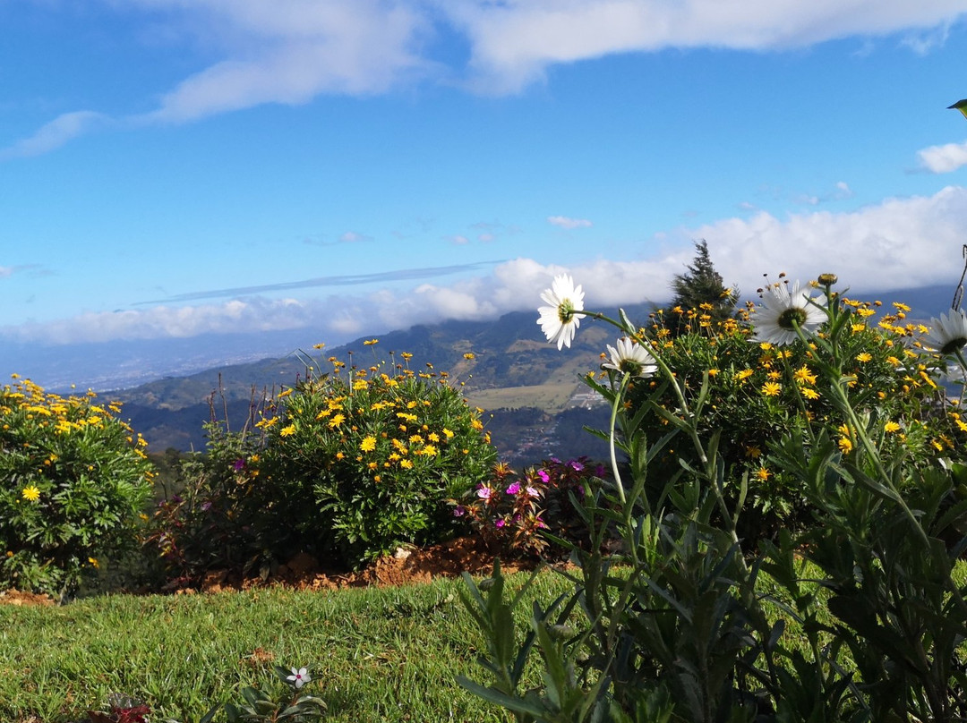 El Tejar旅游攻略图片