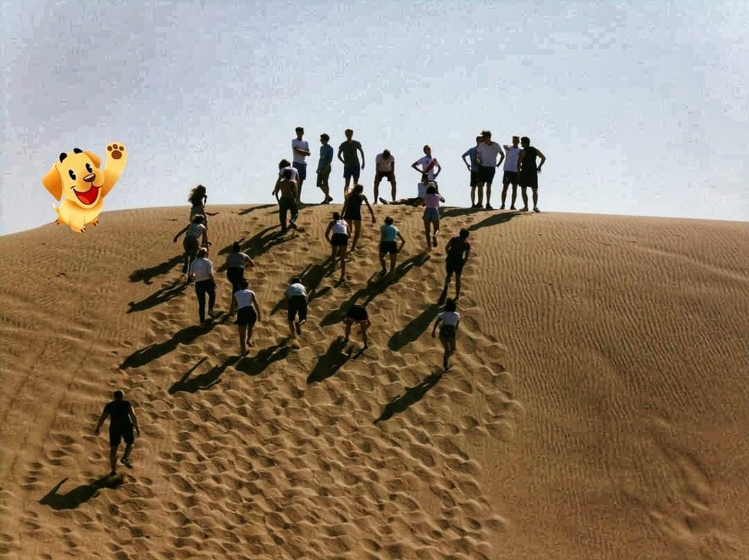 The Pacific Group Paracas景点图片