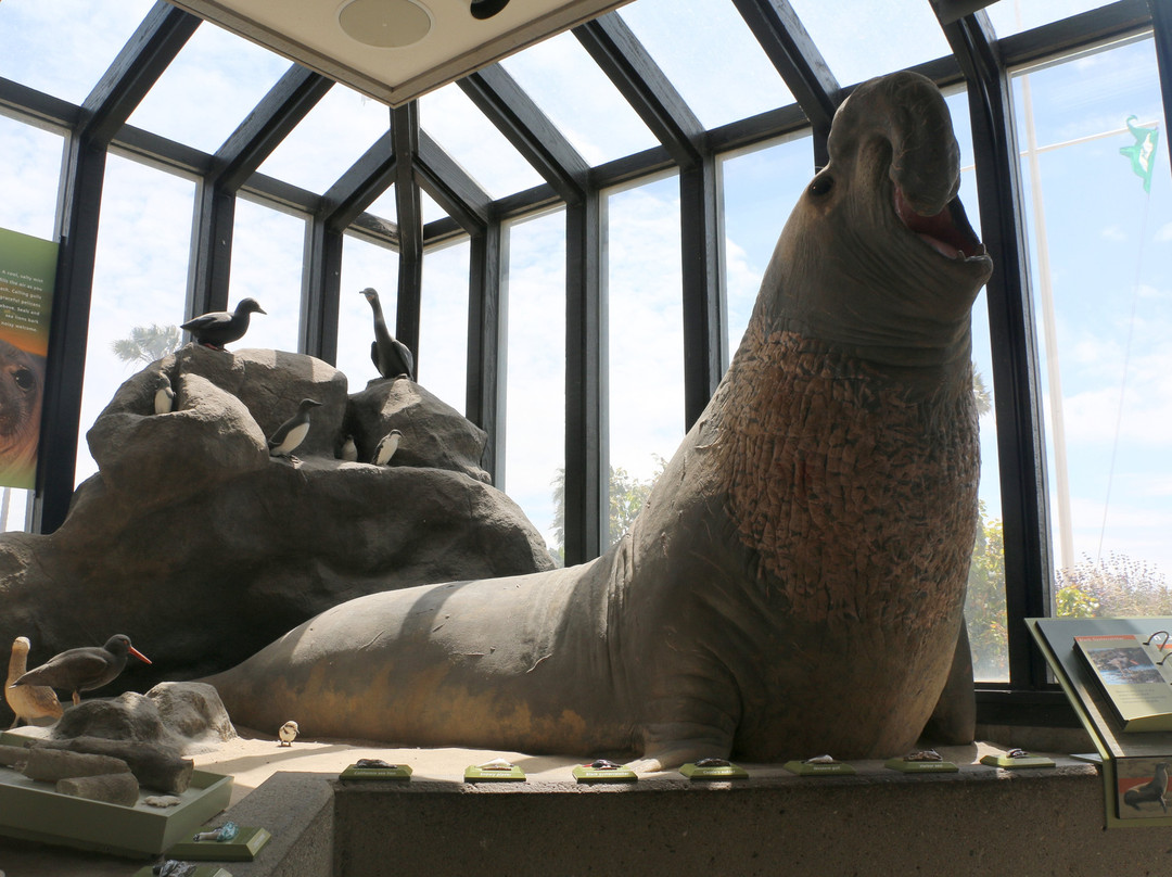 The Robert J. Lagomarsino Visitor Center at Channel Islands National Park-文图拉县必去景点