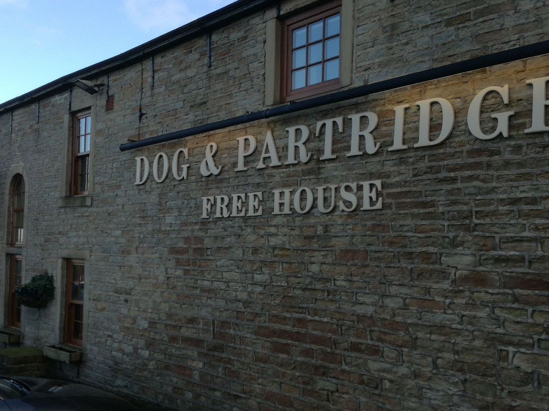 The Dog and Partridge主图