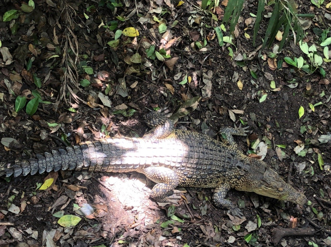 Ecotourism Melanesia景点图片