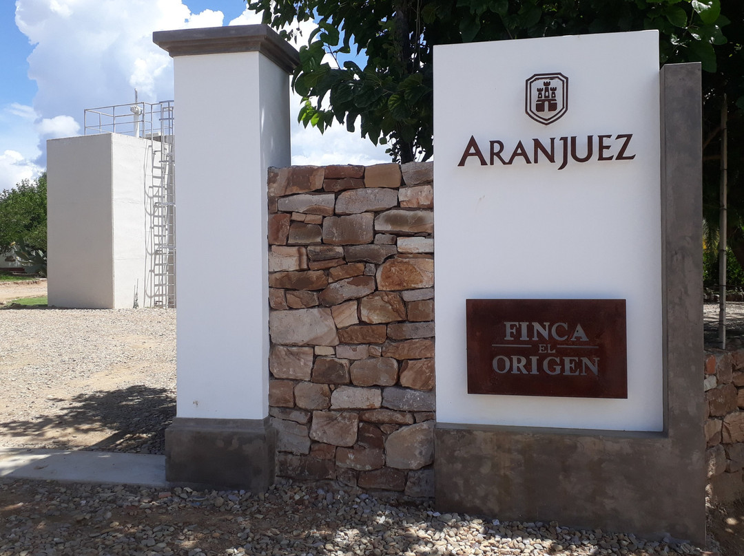 Bodega Aranjuez 1976