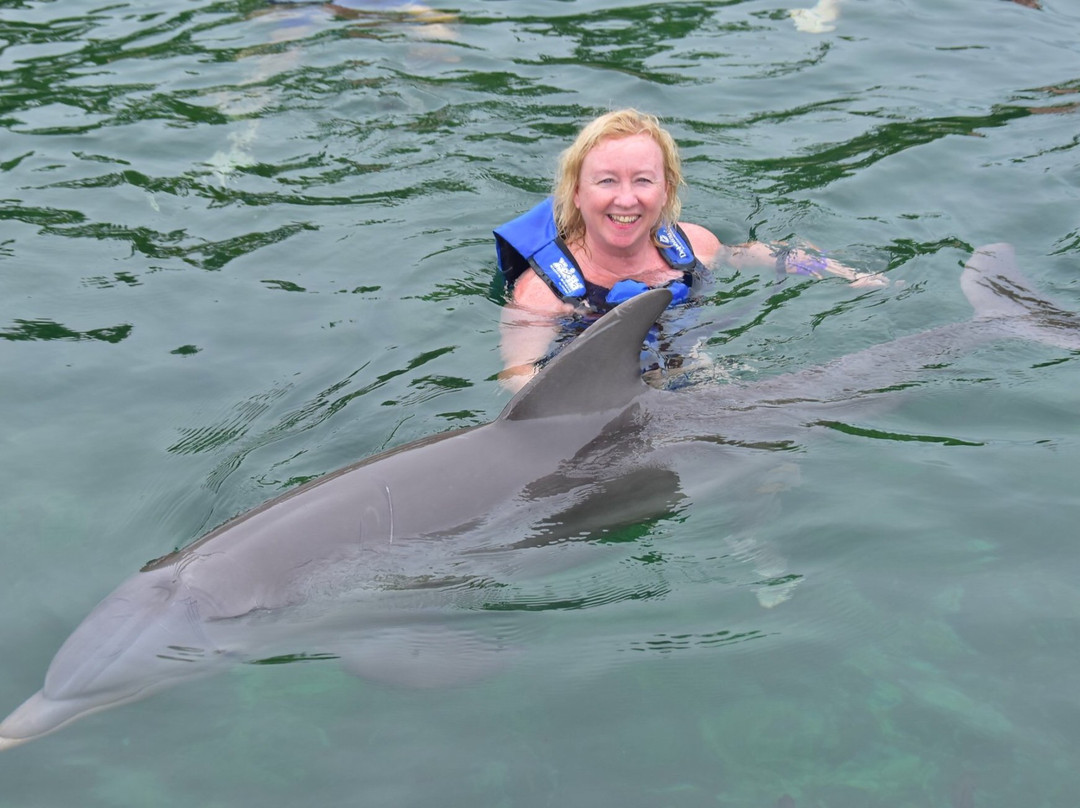 Delphinus Xel-Há-图伦必去景点