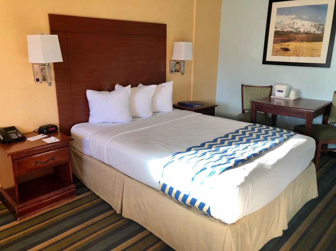 主教旅程住宿主图