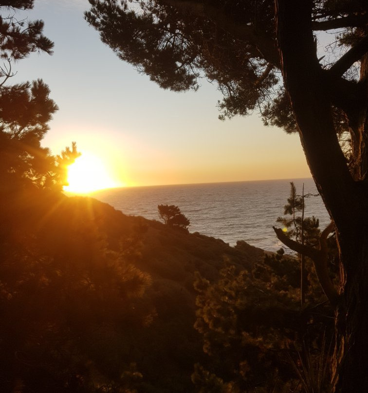 Parque Pedro del Rio Zanartu-康塞普西翁必去景点