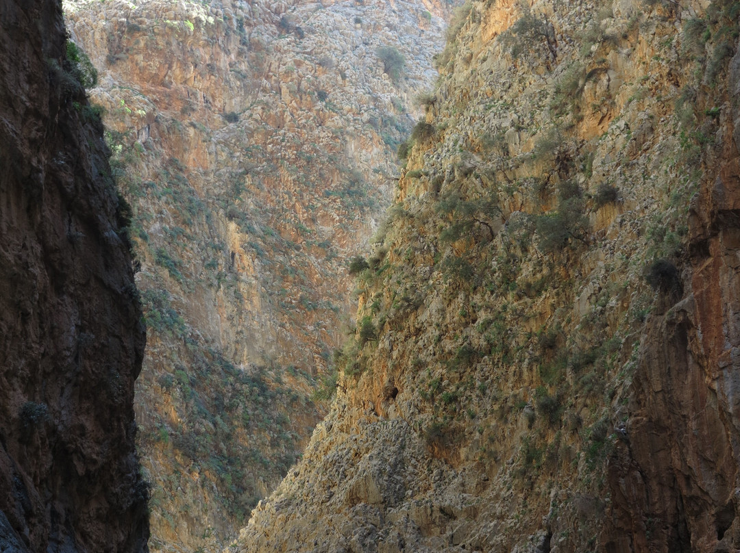 The Gorge of Aradena景点图片