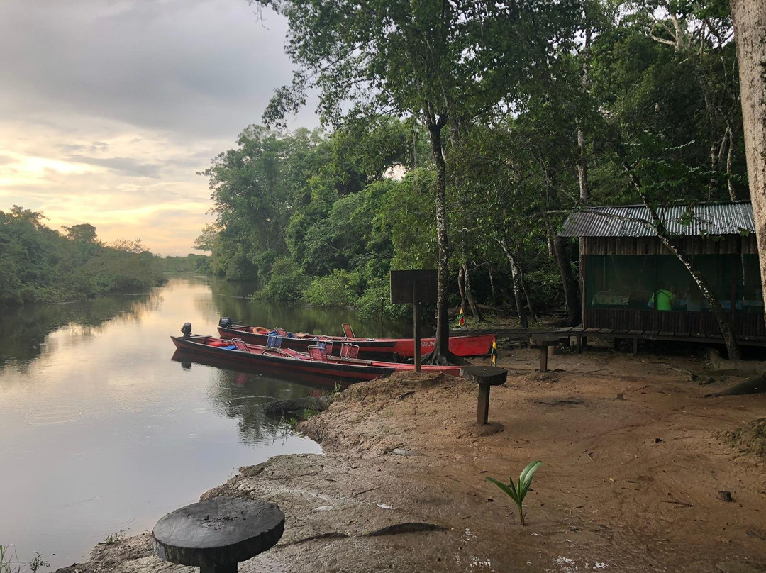 Escorpion Travels-Rurrenabaque必去景点