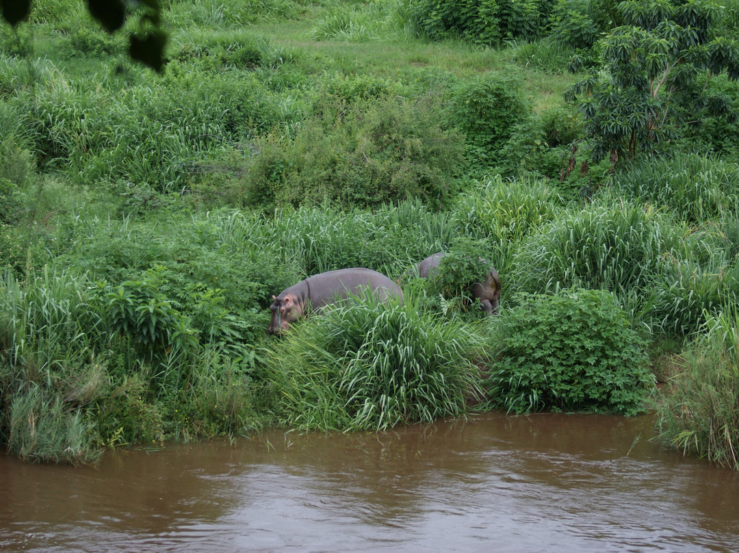 Hippo Hollow Country Estate主图