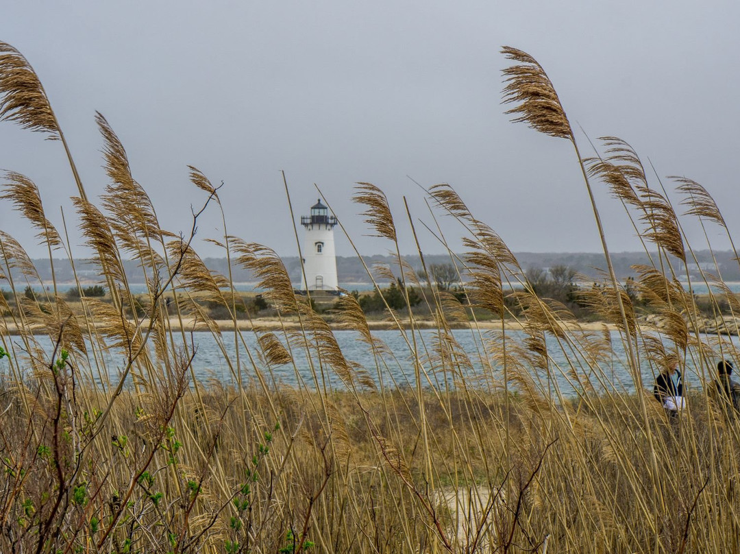 Edgartown Lighthouse景点图片
