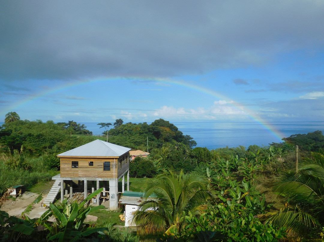 Rumboat Retreat主图