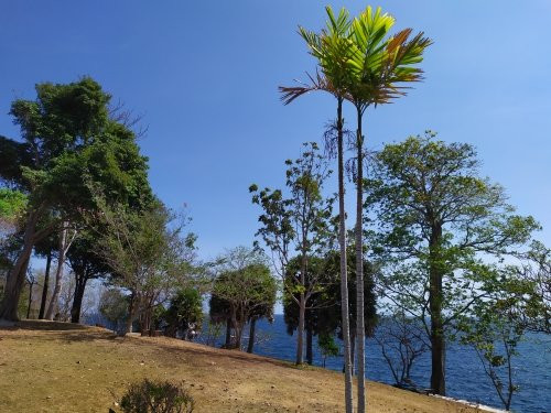 班拉雅度假村主图