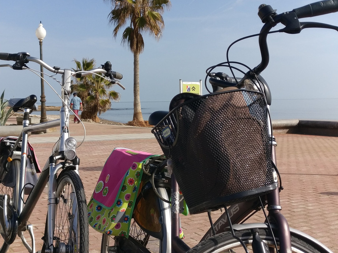 Playa Torrenostra景点图片