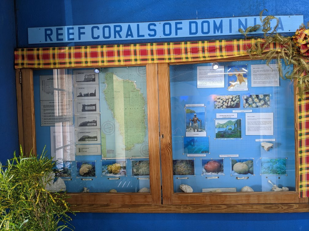 Roseau Museum-罗索必去景点