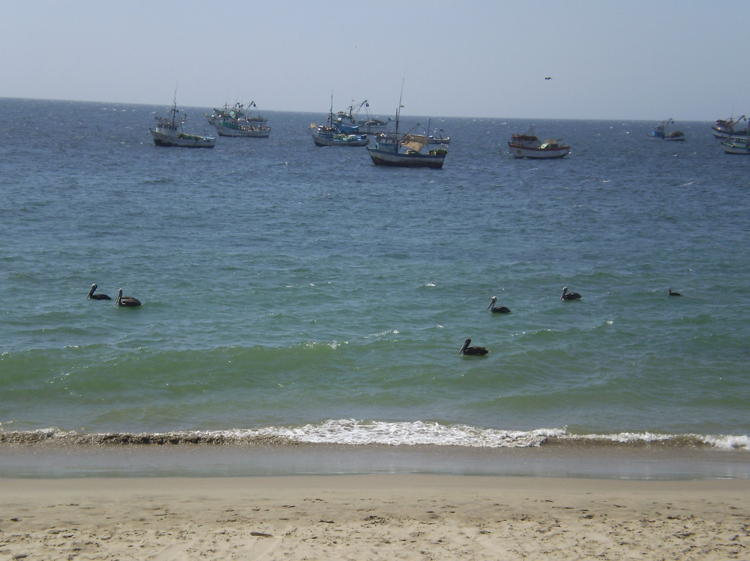 Las Pocitas Beach景点图片