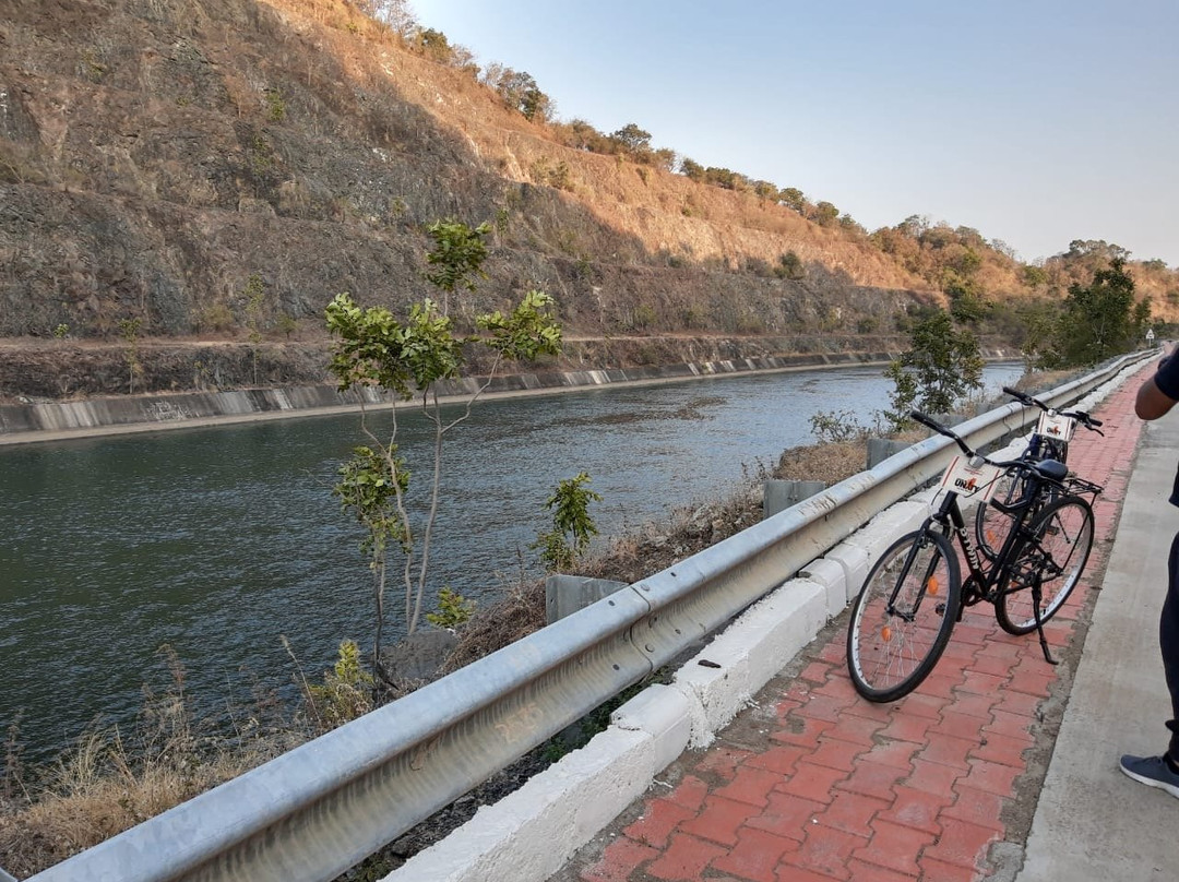 Cycle Tours at Statue of Unity景点图片