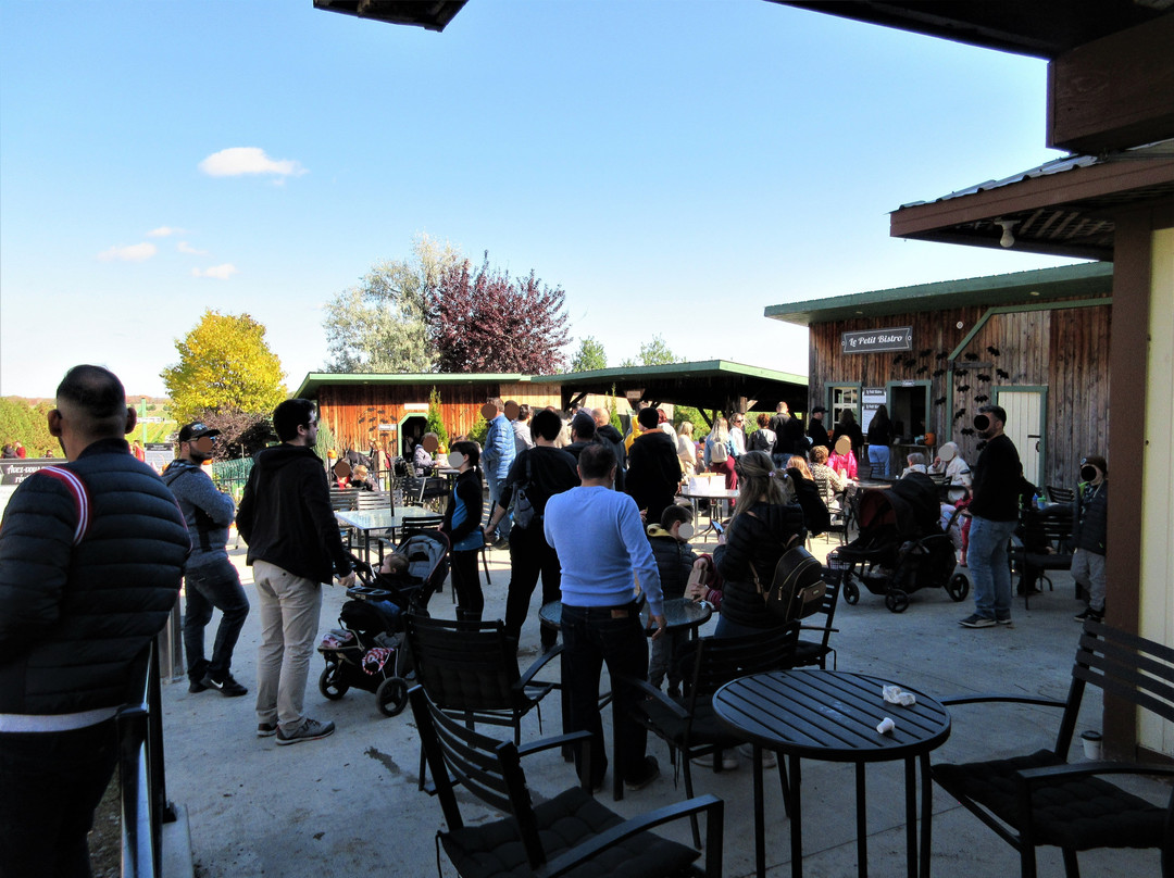 Vignoble Les Vents D'ange-Saint-Joseph-du-Lac必去景点