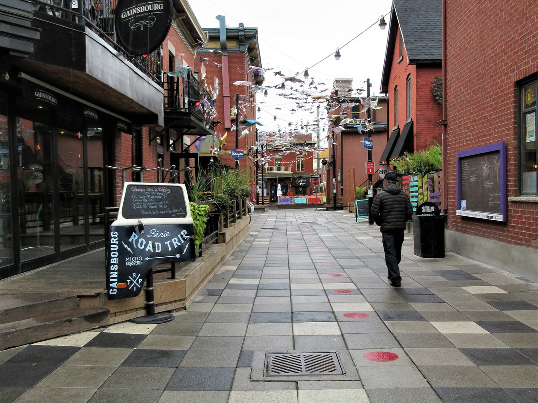 Bureau D'Information Touristique Maison Du Tourisme De L'outaouais-加蒂诺必去景点