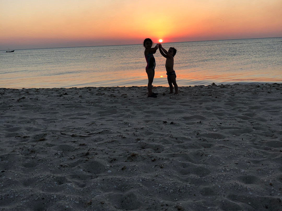 Xixim Mundo Imperial主图