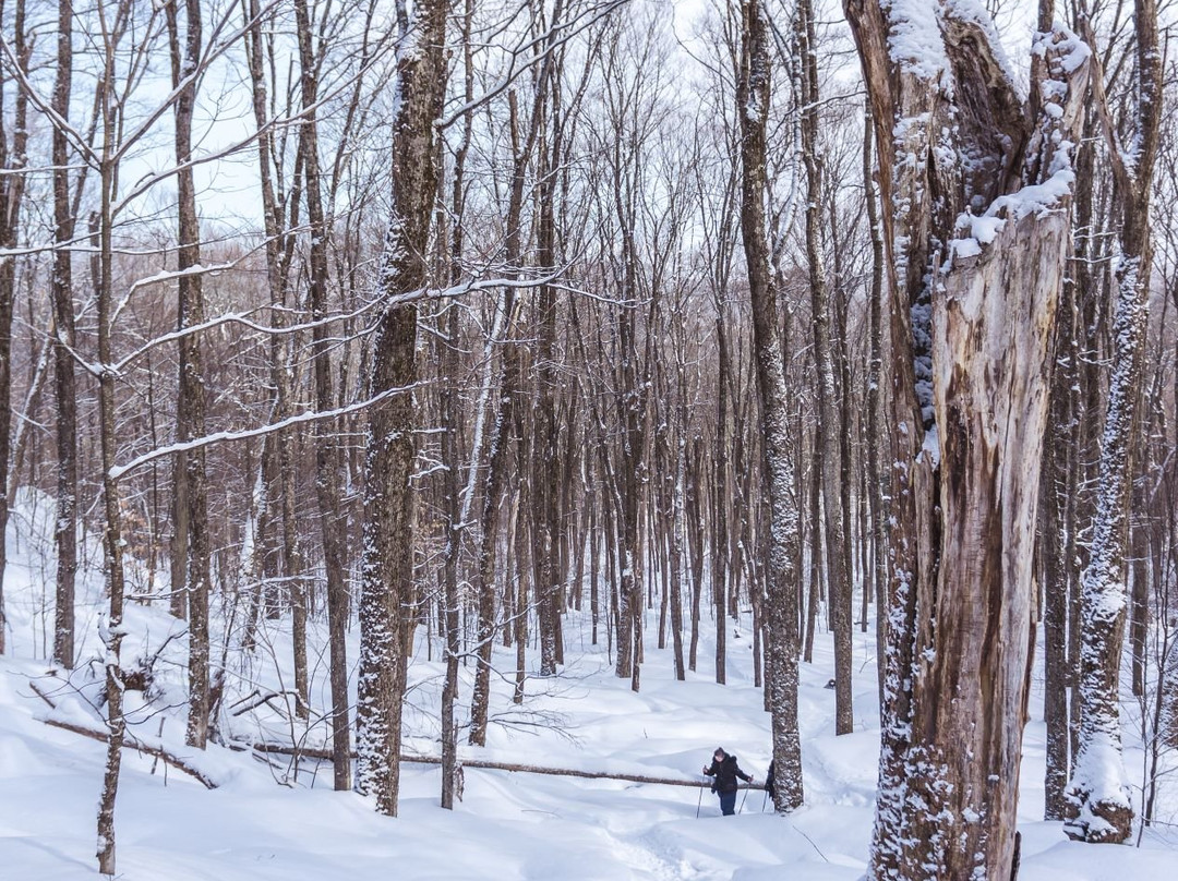 Mont Orford-Orford必去景点