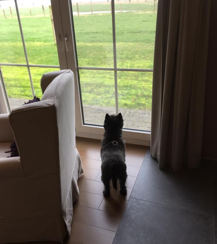 B&B Nieuwhof主图