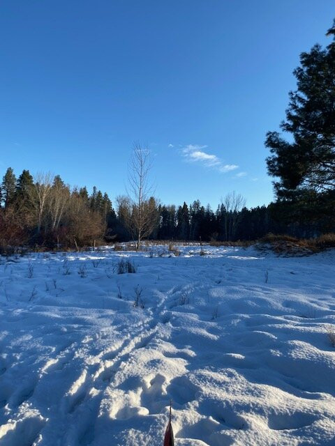 Buffalo Head Park-卡利斯佩尔必去景点