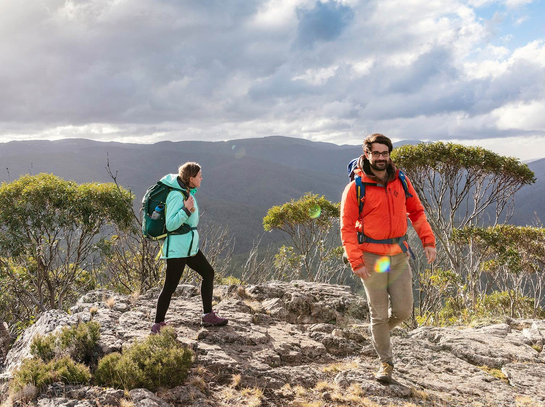 Alpine National Park景点图片