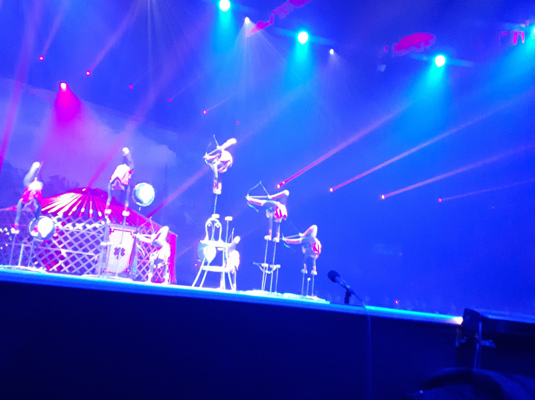 Cirque Phénix-巴黎必去景点