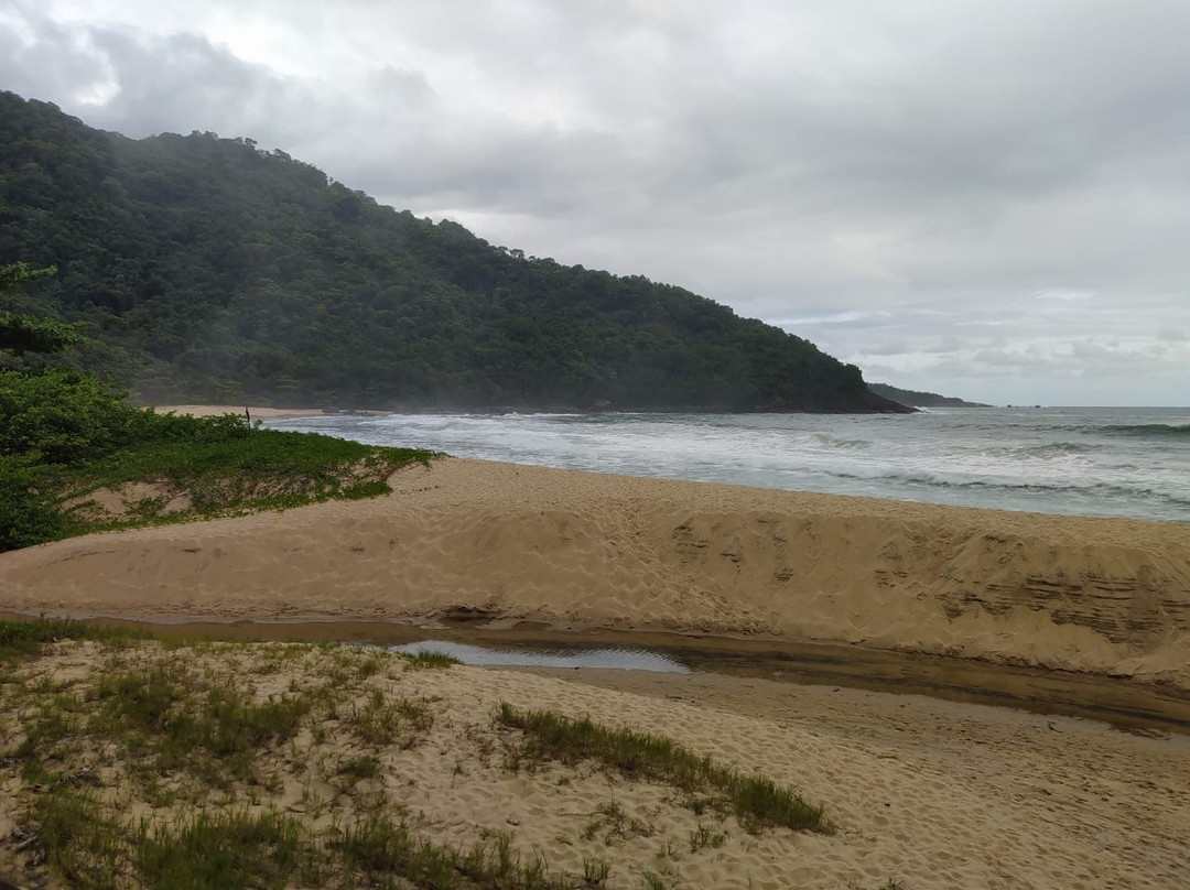 Praia Brava景点图片