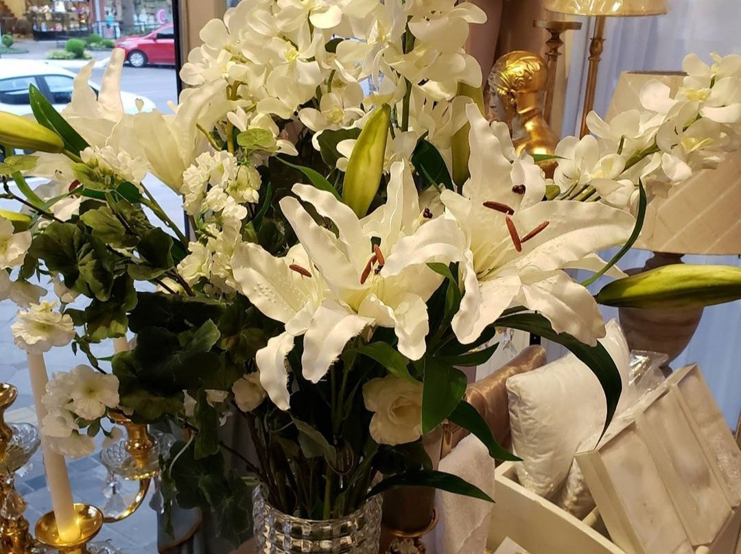 Ave Maria - Casa & Santeria-卡内拉必去景点