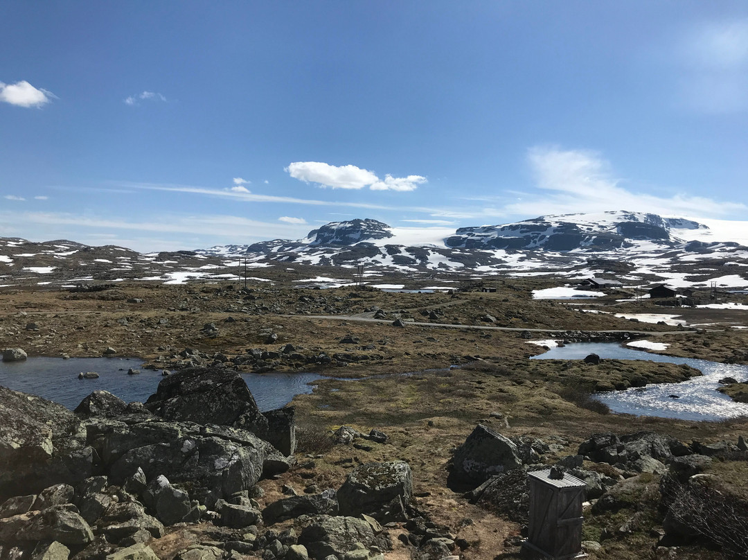 Myrdal Station景点图片