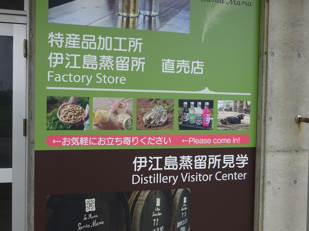 Iejima Distillery-伊江村必去景点