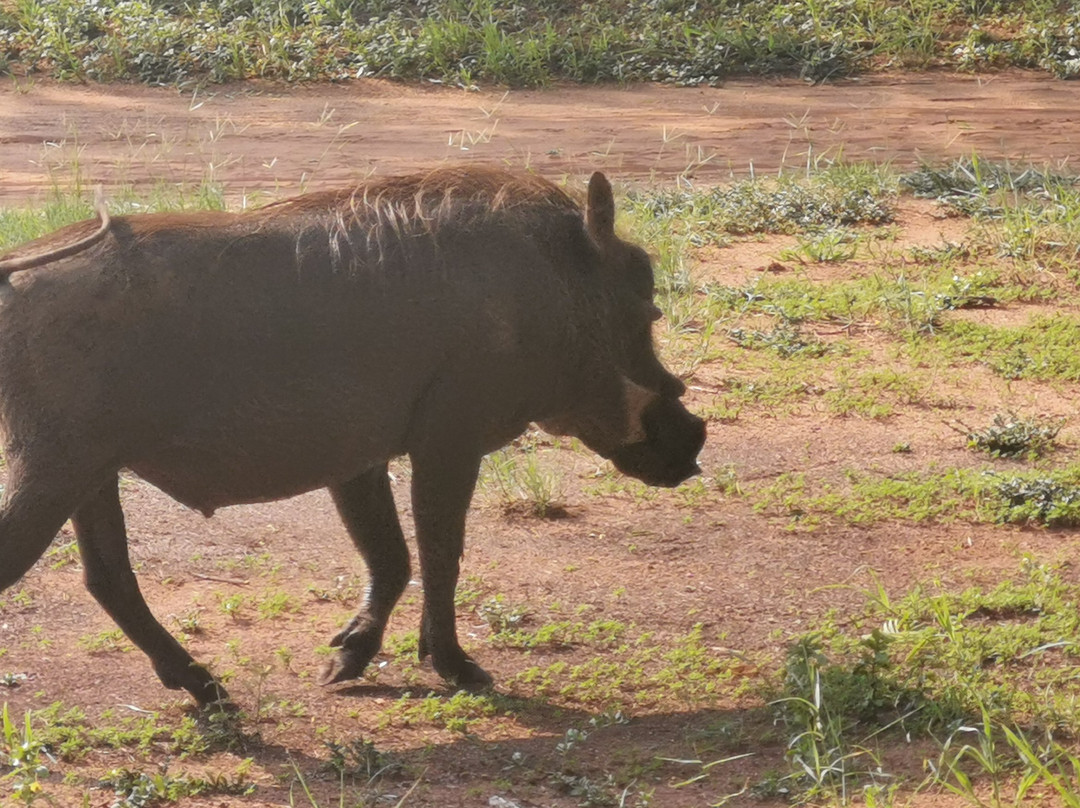 Warmbaths, A Forever Resort主图