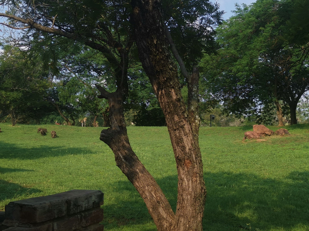 Warmbaths, A Forever Resort主图