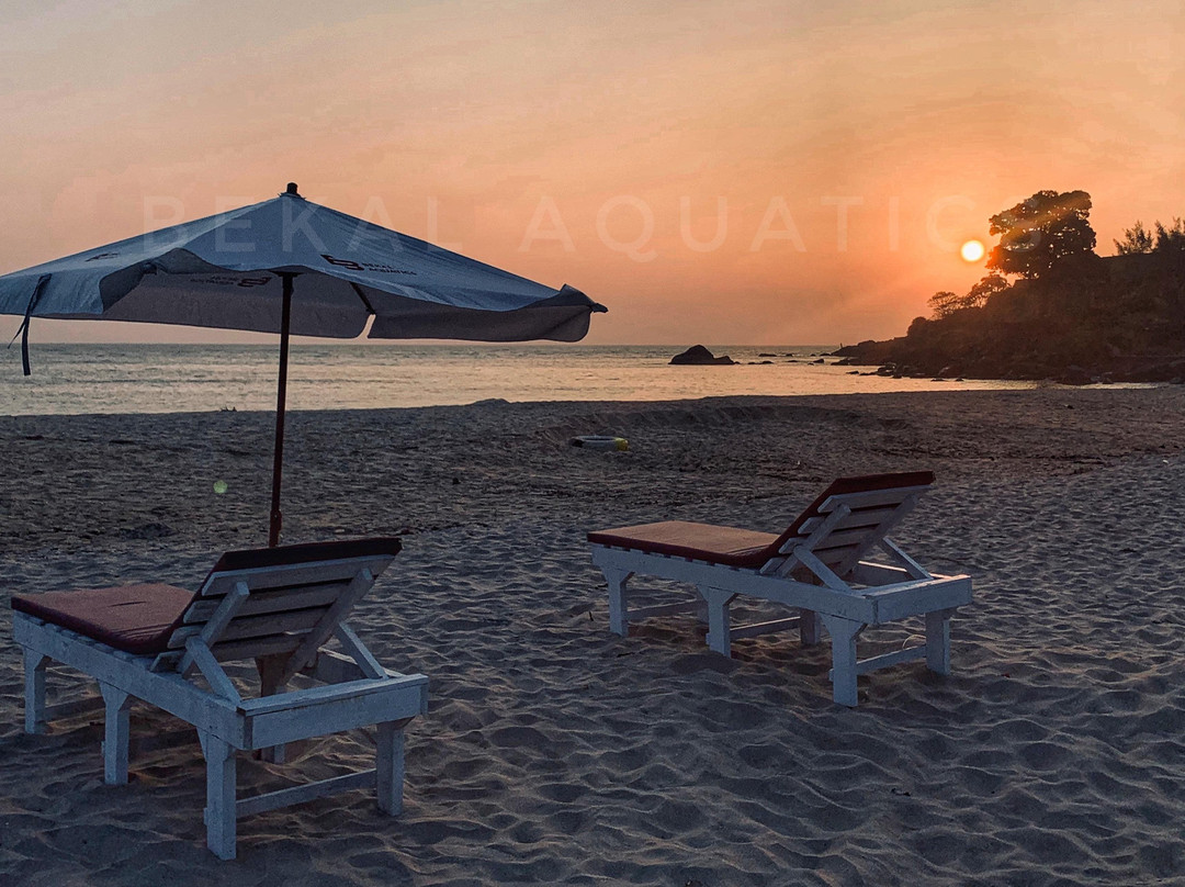 BEKAL AQUATICS景点图片