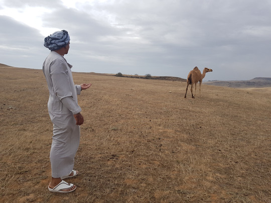 Salalahexcursions-塞拉莱必去景点