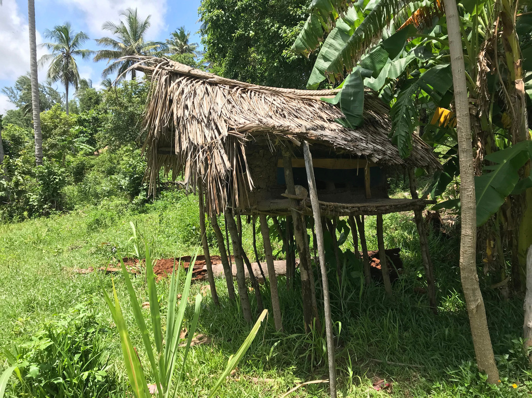 Mafia Beach Bungalows主图