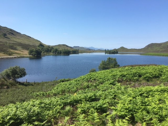 South Loch Ness Trail景点图片