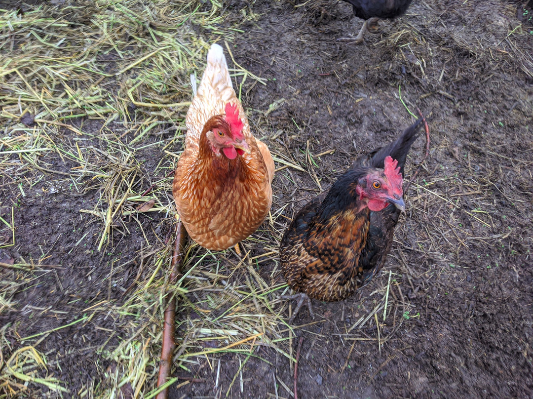 AppleGarden Cottage主图