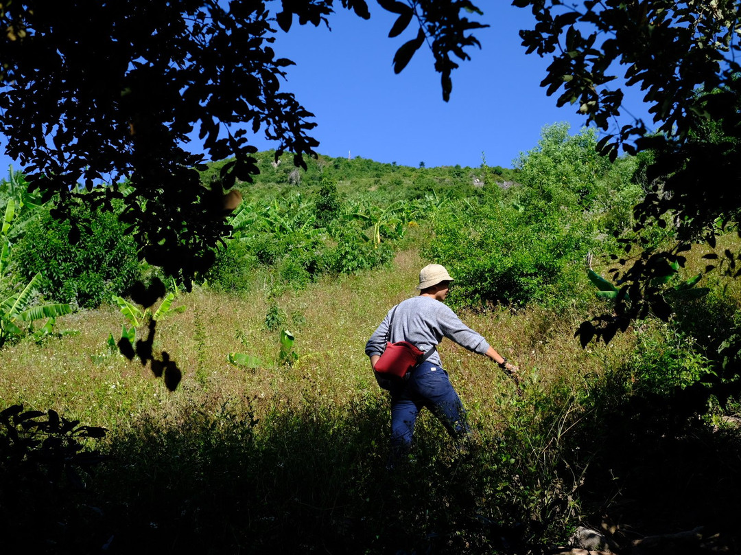 Golden Bay Hotel主图